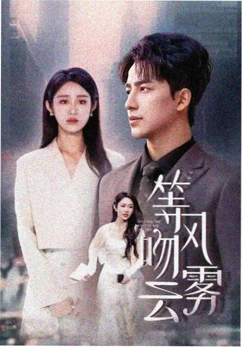 久久亚洲精品视频 长夜灯火 剧集海报